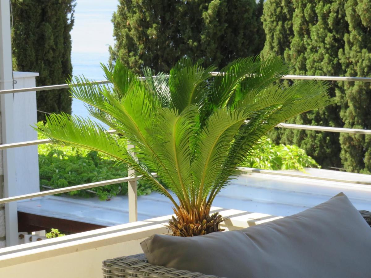 King * Dubrovnik